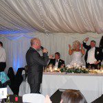 dj for parties - dj for birthday - wedding entertainment