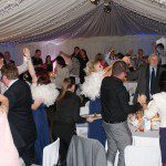 Wedding dj - dj for birthday - wedding entertainment
